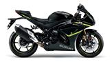 Suzuki GSX-R1000R
