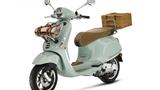 Vespa Pic Nic 50