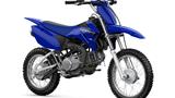 Yamaha TTR110