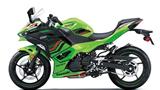 Kawasaki Ninja 500 KRT Edition
