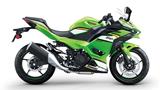 Kawasaki Ninja 500 SE