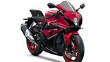 Suzuki GSX - R 1000