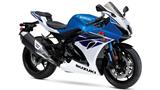 Suzuki GSX-R1000RZ