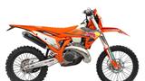 KTM 300 EXC Champion