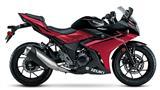 Suzuki GSX250R
