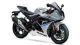 Suzuki GSX-R1000R