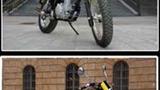 Borile B 450 SC
